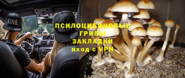 прущая мука Костерёво